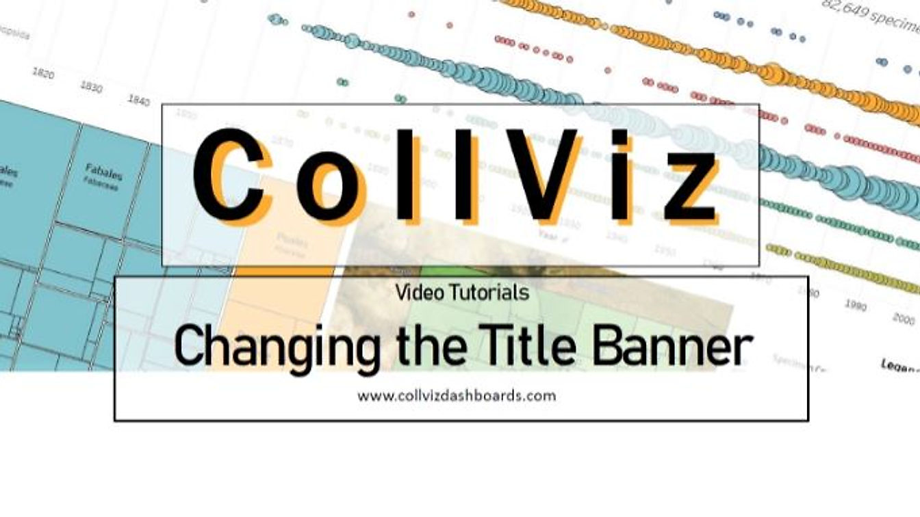 Changing the Title Banner